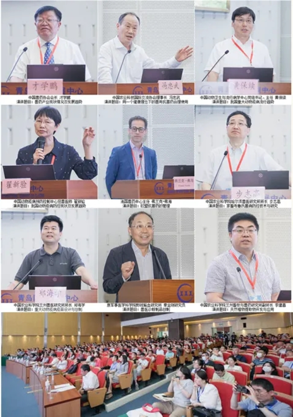 1714009390466308.jpg 3.webp.jpg