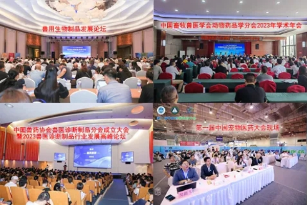 1714009396768611.jpg 4.webp.jpg