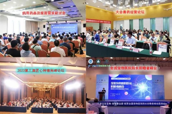 1714009400999989.jpg 5.webp.jpg